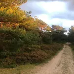 Elegant New On Quiet Woodland Site 別荘 Nykøbing Sjælland