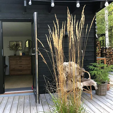 Elegant New On Quiet Woodland Site *